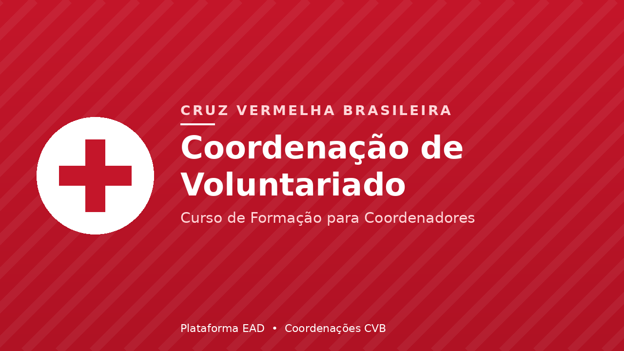 Coordenação de Voluntariado CCINT_101